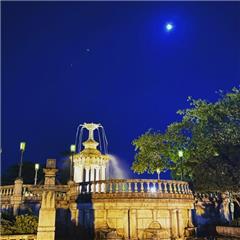 鶴舞公園で撮影された最優秀賞受賞作品