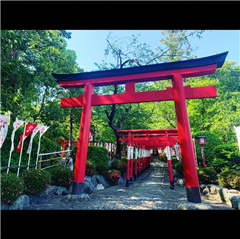成海神社で撮影された入賞受賞作品