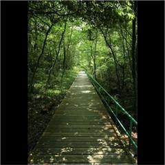 小幡緑地公園で撮影された優秀賞受賞作品