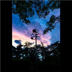 中村公園（ひょうたん池）で撮影された中村区役所特別賞受賞作品