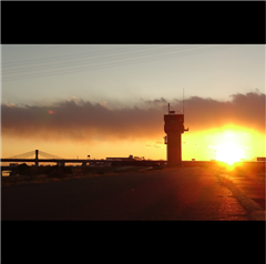 庄内川（小田井水門付近）で撮影されたハッチー賞受賞作品