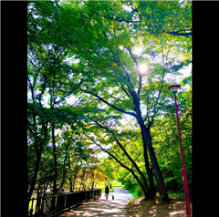 六所神社で撮影された名東区役所特別賞受賞作品