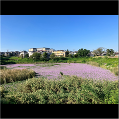 市バス沿線フォトコンテスト天白区編の天白区特別賞作品の画像です