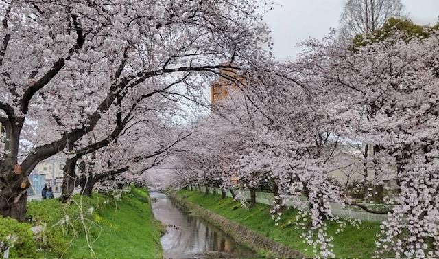 御用水跡街園の画像