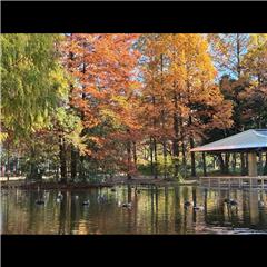 市バス沿線フォトコンテスト熱田区編の熱田区特別賞作品の画像です