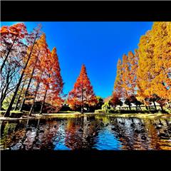 市バス沿線フォトコンテスト熱田区編の入賞作品の画像です