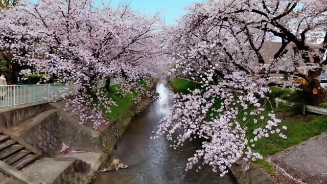 御用水跡街園の画像