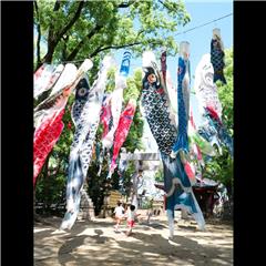 市バス沿線フォトコンテスト中川区編の入賞作品の画像です